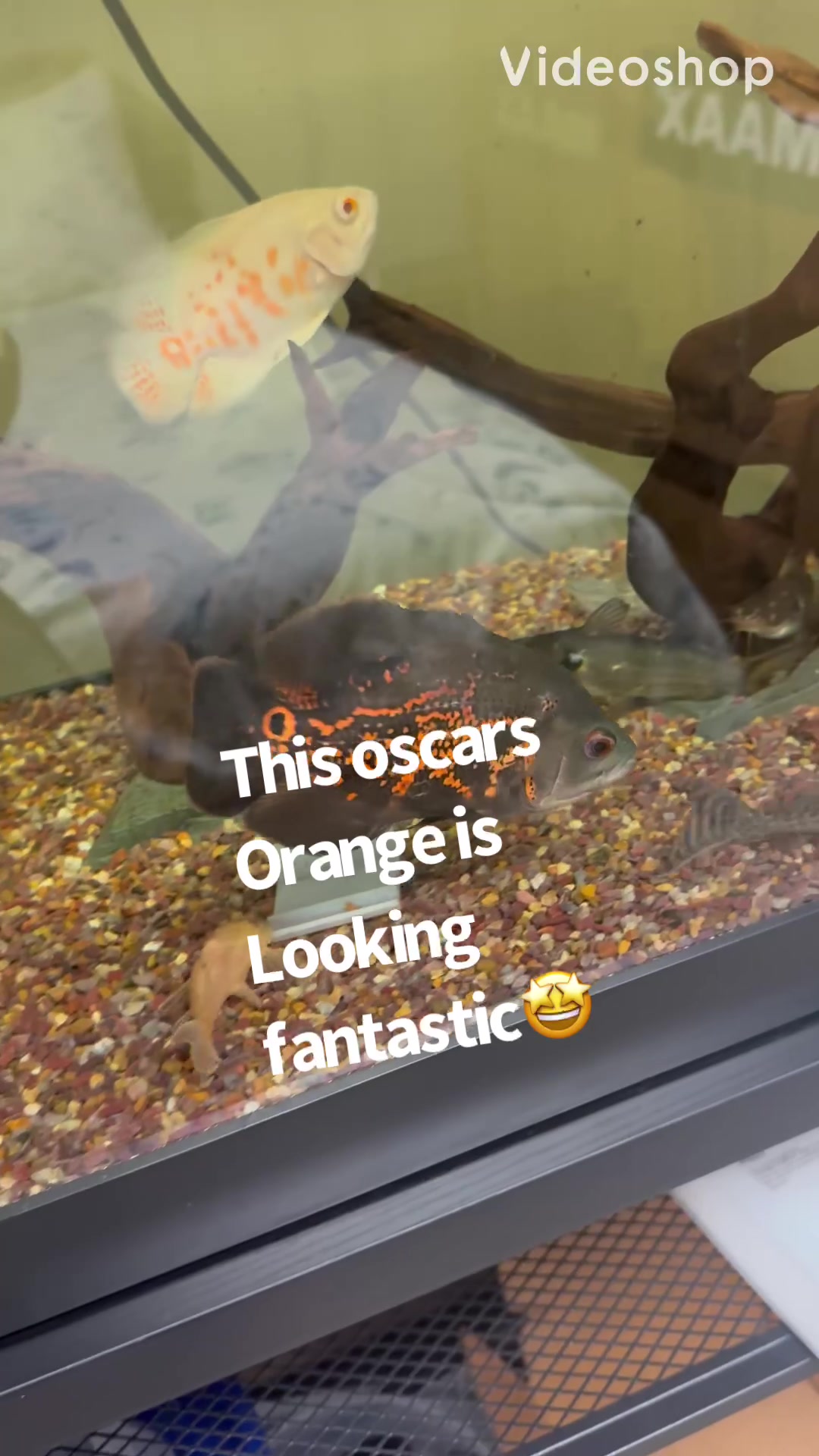 @fishdaddy2002