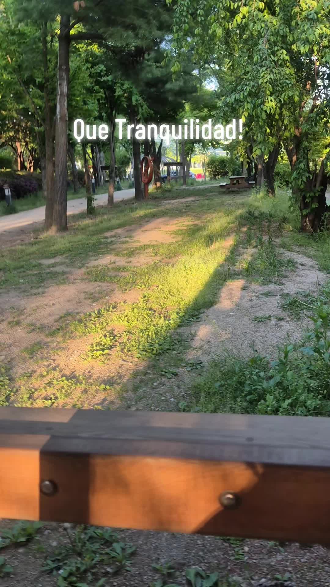 @Maribel Ocampo