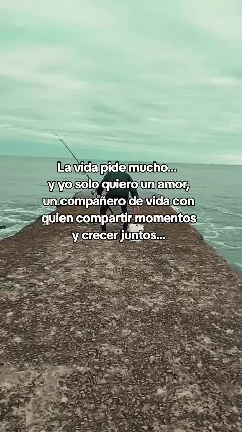 @AntooWitteveen