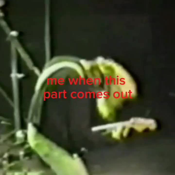 @idk