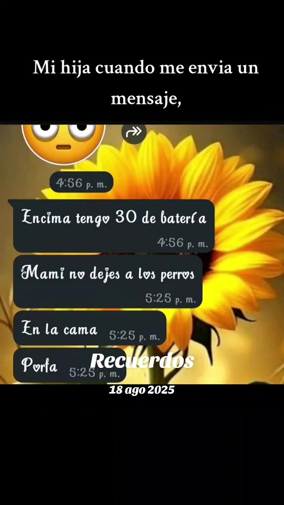 @🌻🌻la&ntilde;a&ntilde;itatify🌻🌻