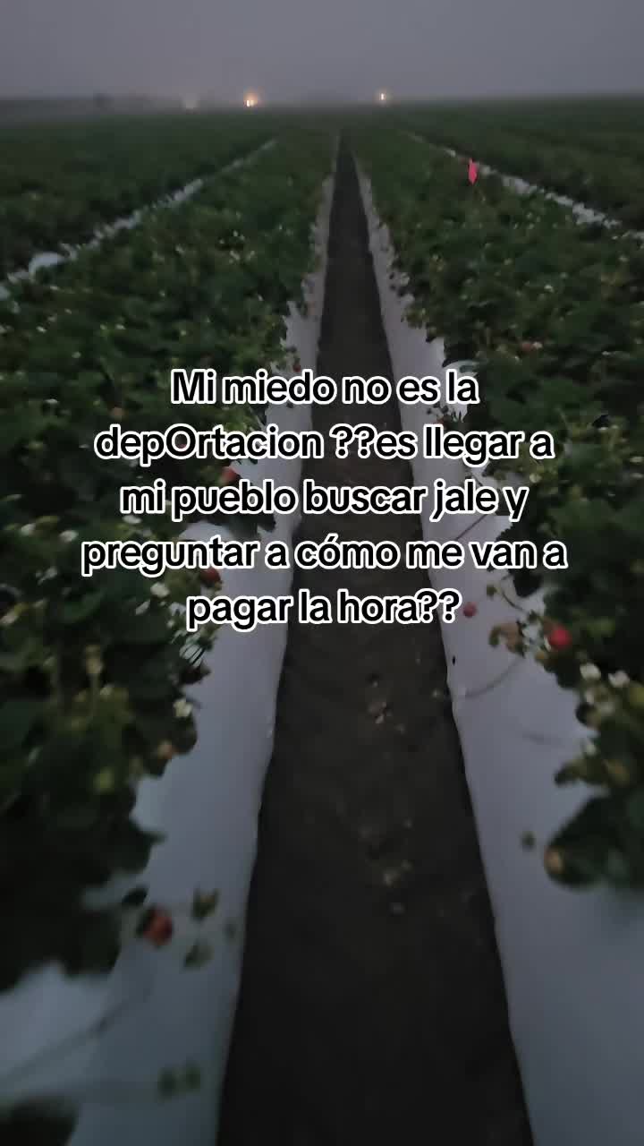@🇲🇽🐦⬛🪺VASQUEZ🚚🌪💎