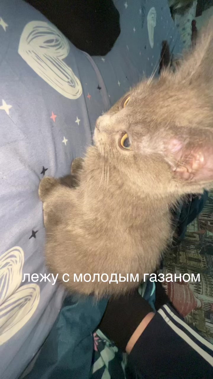 @хх