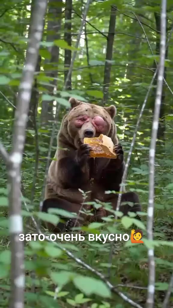 @Любовь Андронова