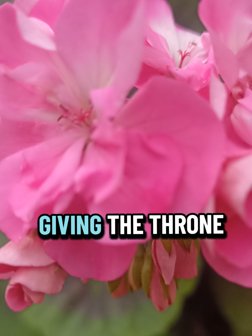 @theoneyouwillmiss