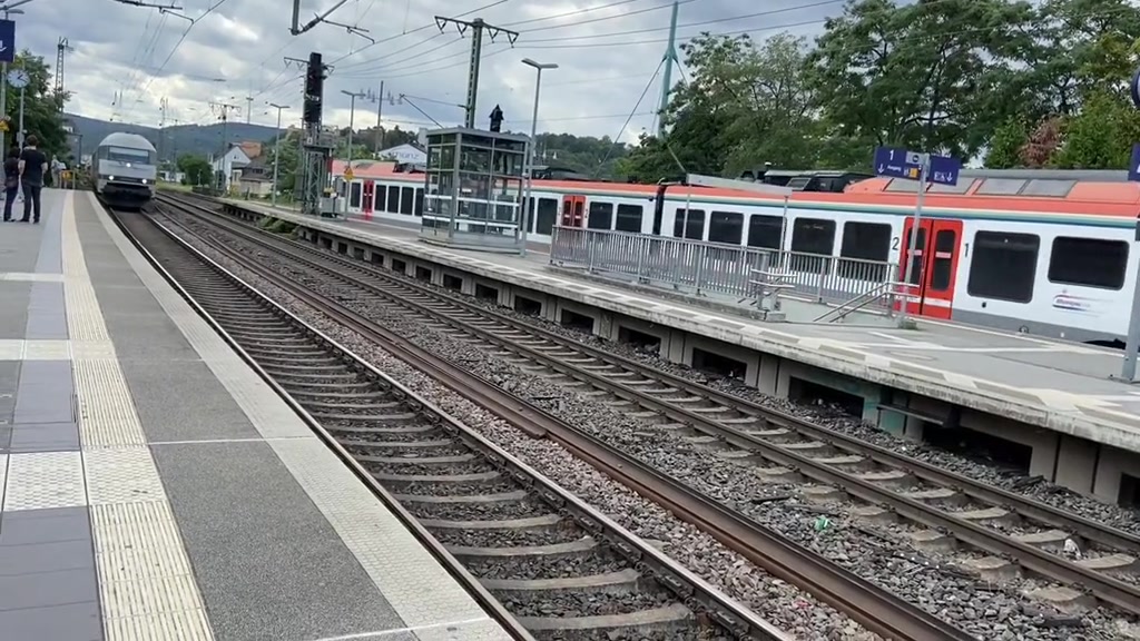 @Trainspotter_BVB🖤💛