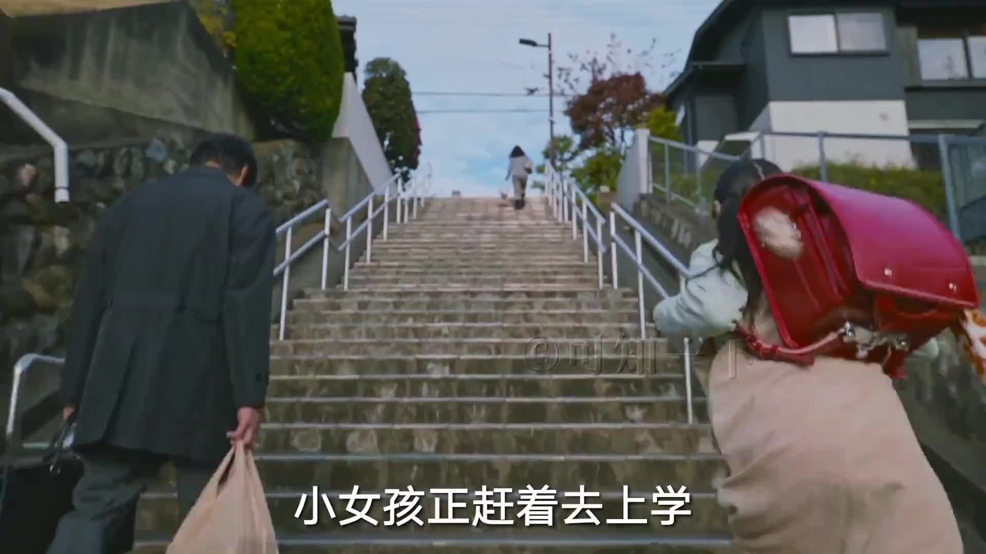 @柒哥