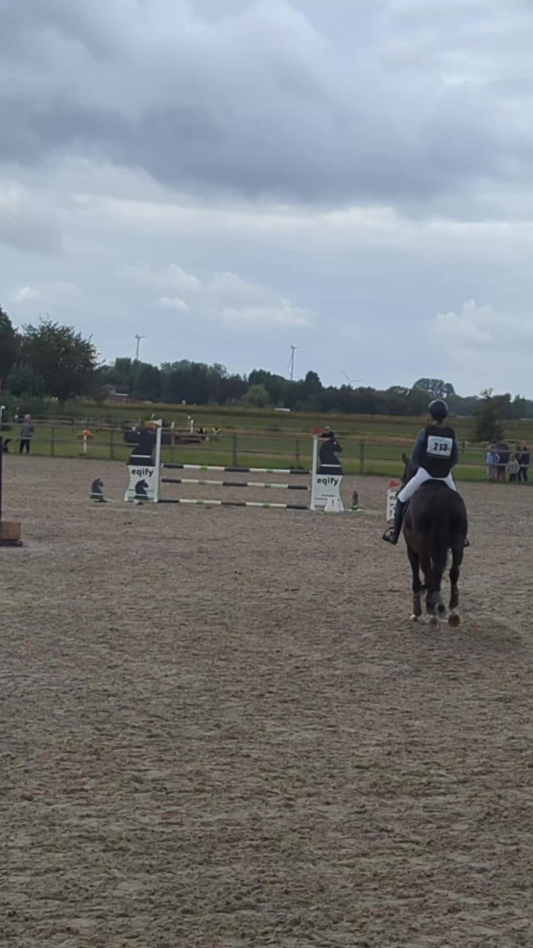 @Elegantia Horses