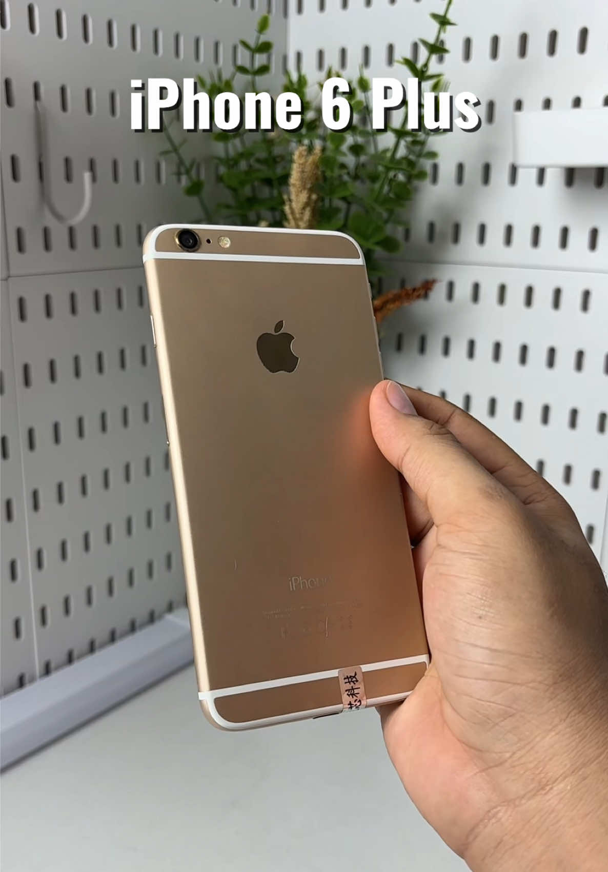 @iPhonary 🩷