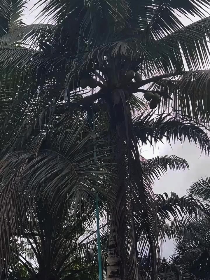 @A🚀