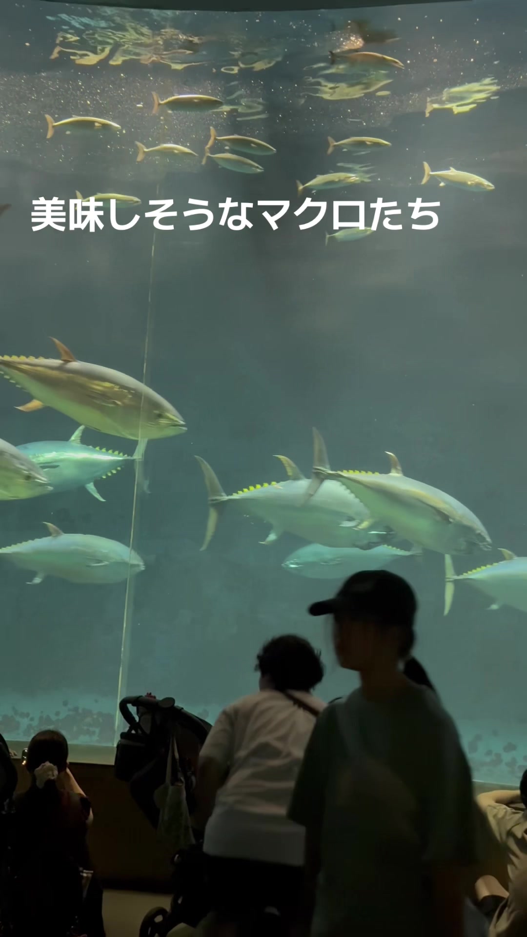 @ゆう あなたの推しにして