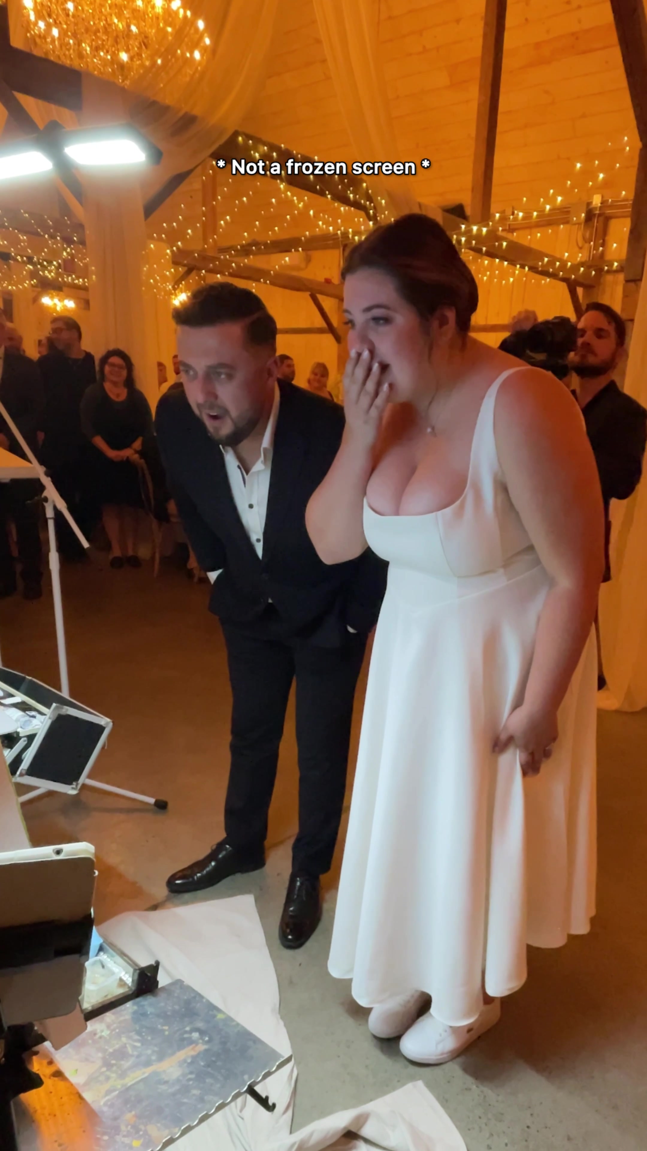 @🇨🇦Live Wedding Painter