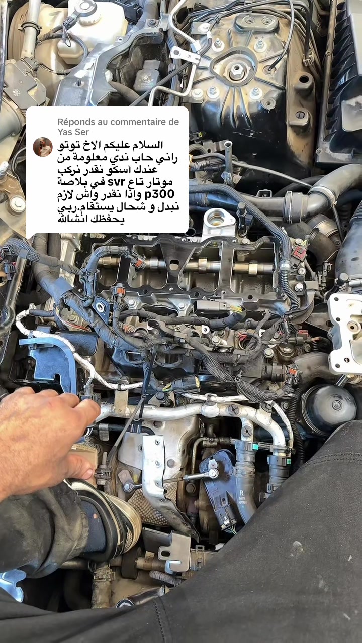 @toutou rangerover