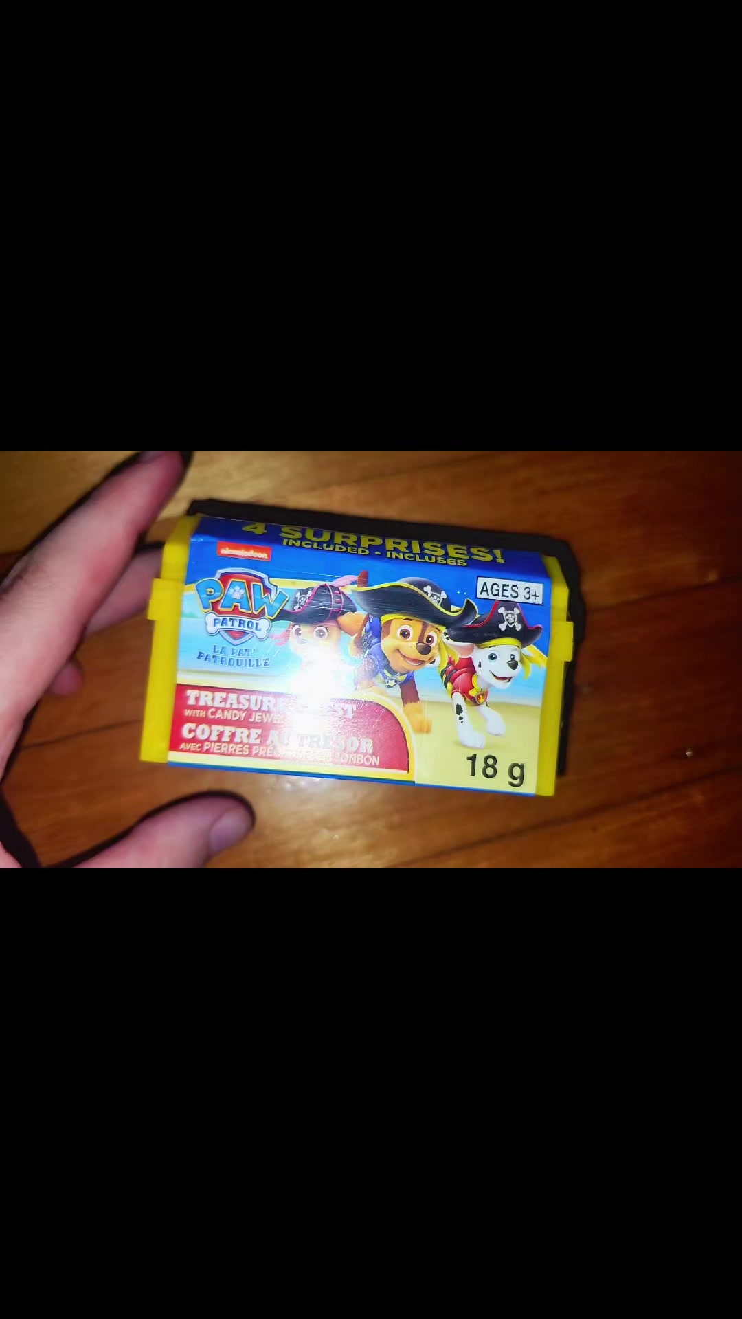 @Jester 🎭 (Paw Patrol No1 Fan)