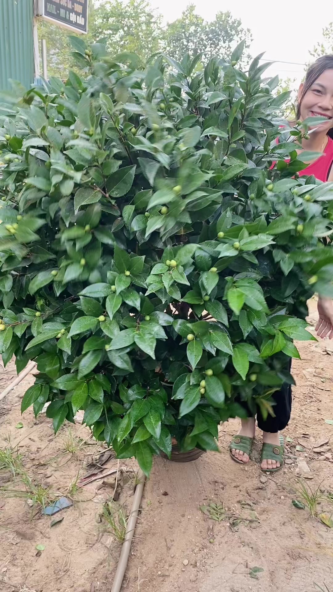 @Khổng La