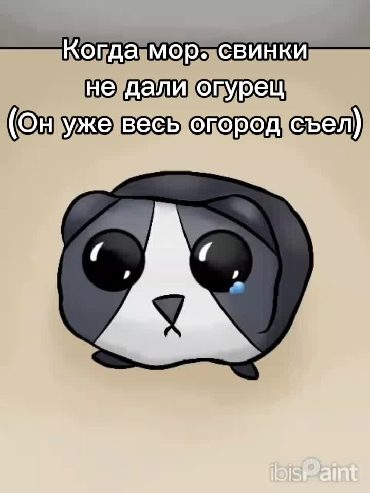 @чайная_лиса☕🦊