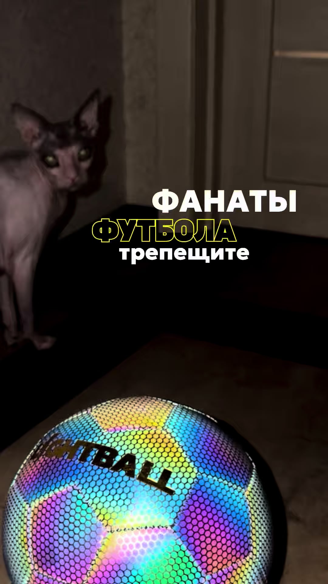 @Александра Денисова