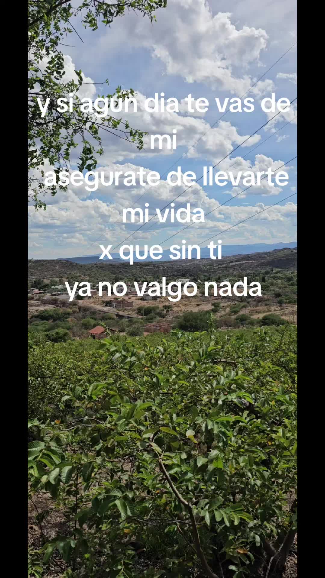 @memohuerta