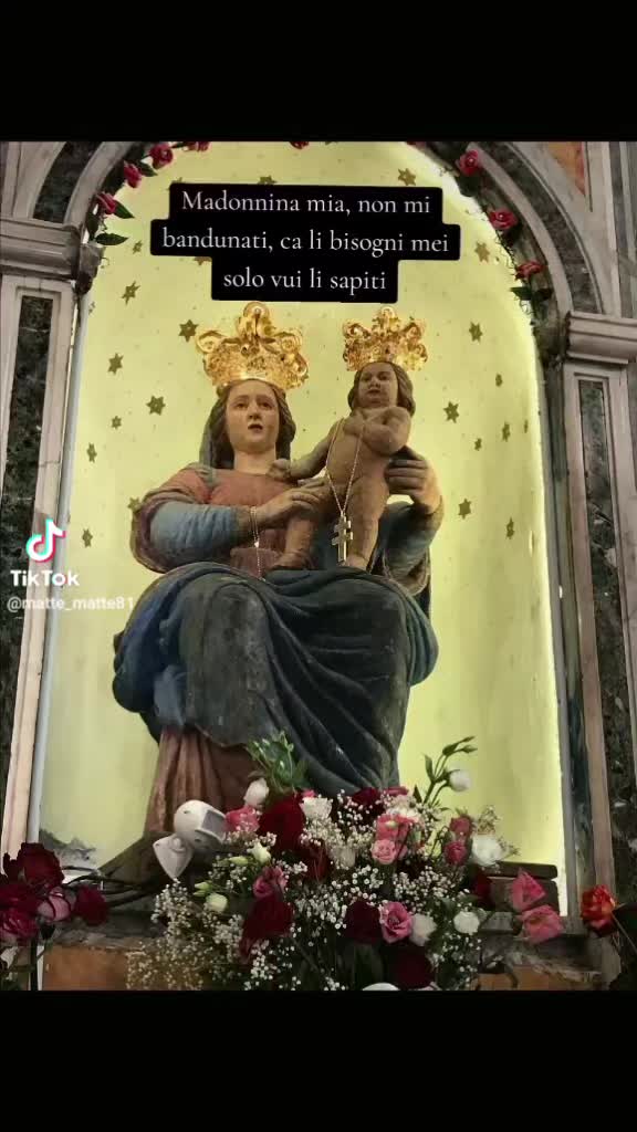 @🦁Pamo🦁