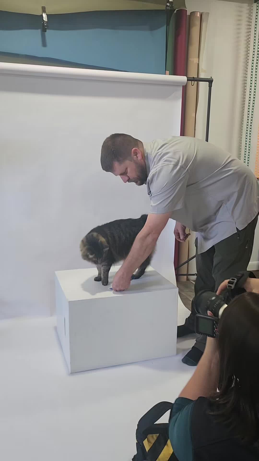 @familypethealth