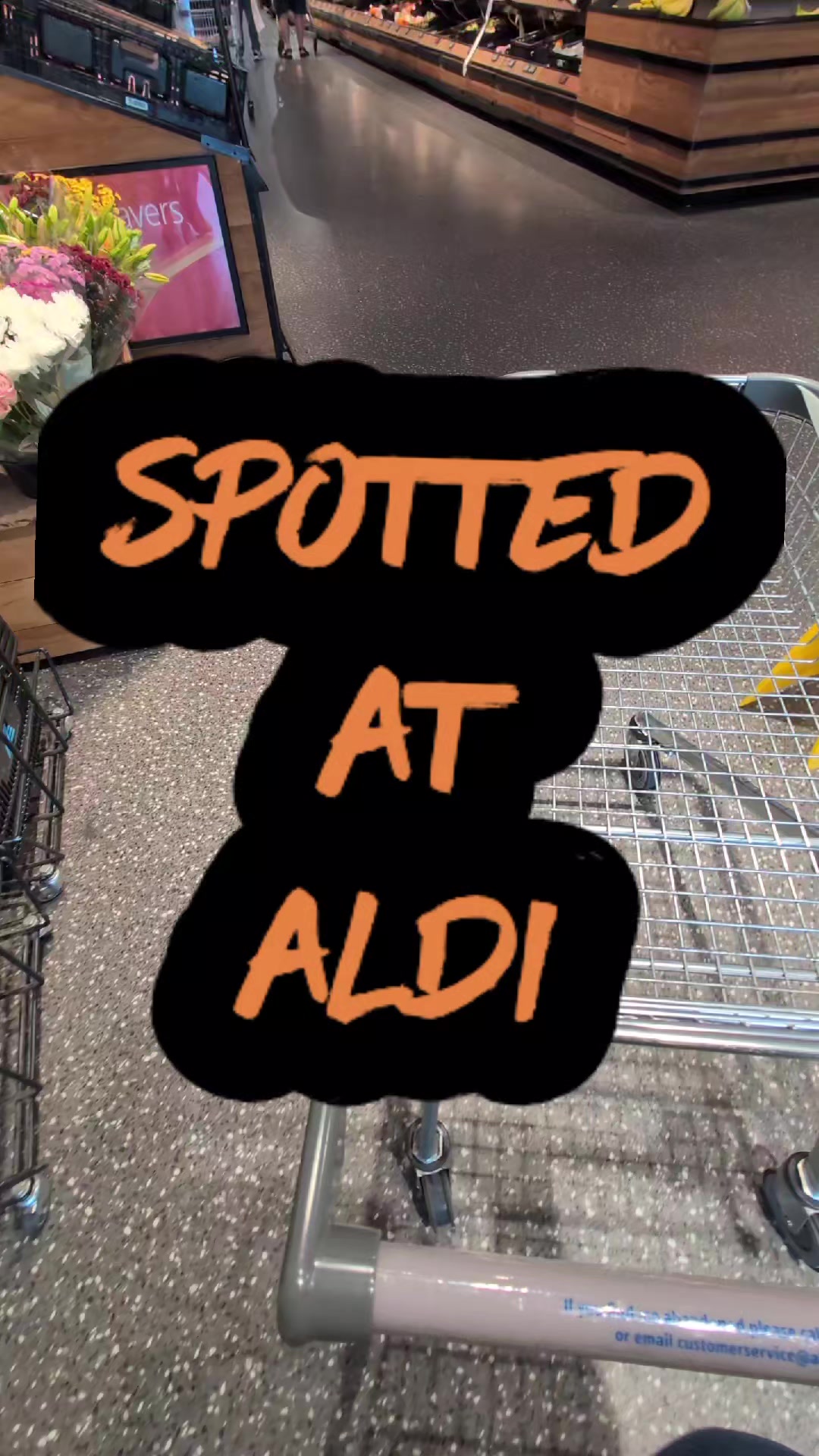 @AU Bites and Finds