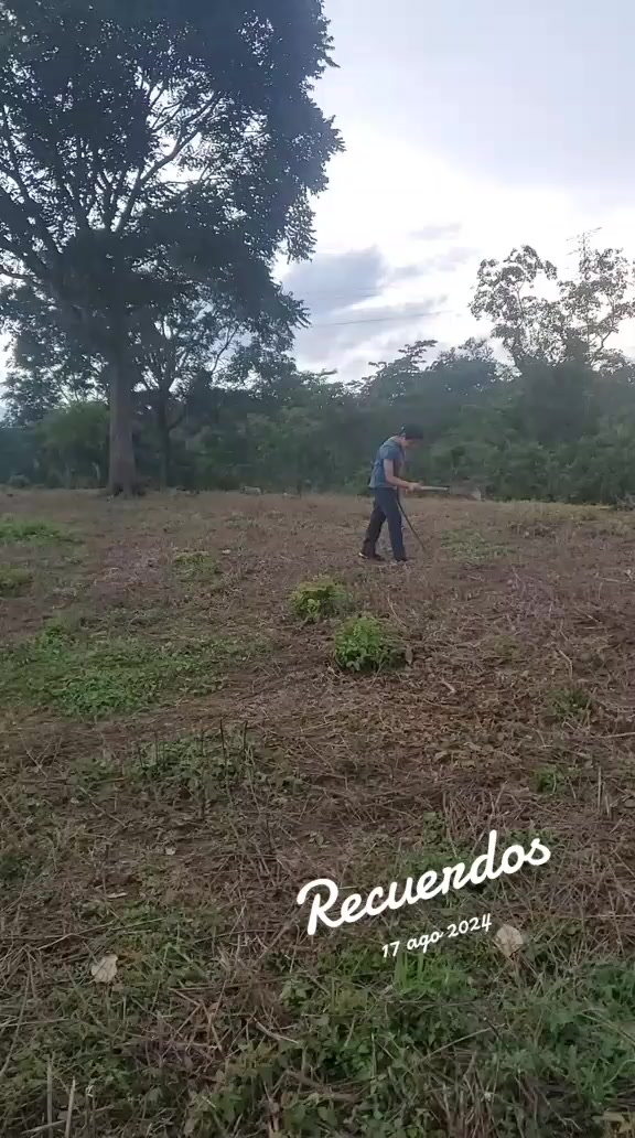 @neriscortez209