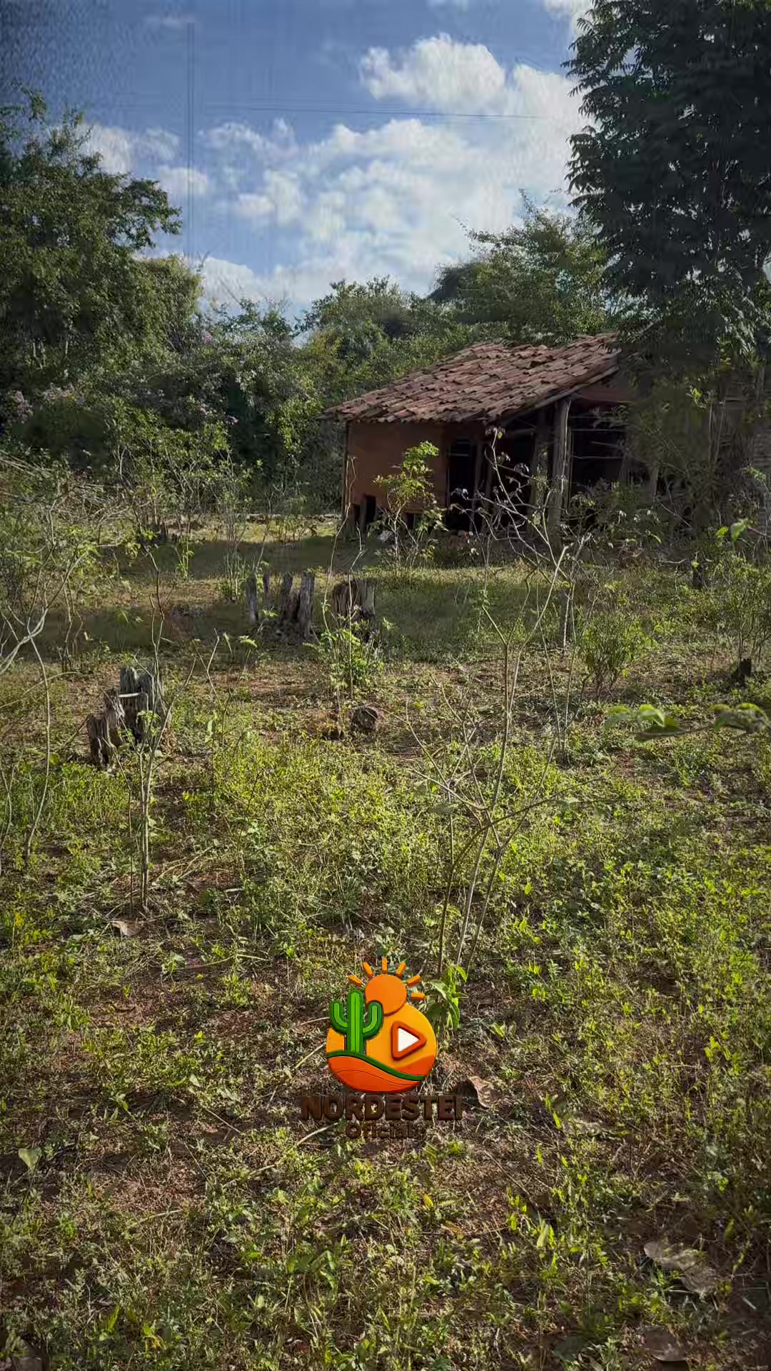 @nordesteioficial