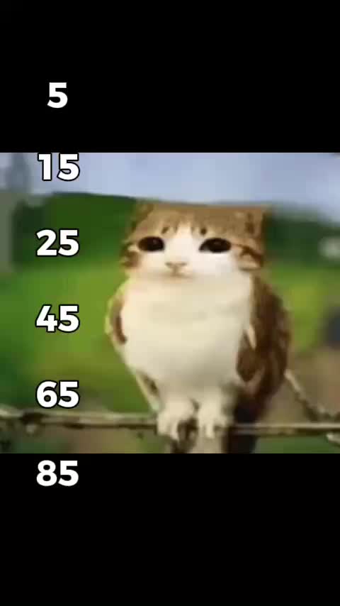@😄😁😁😘😘😋😋😗😂😘😄😛😘😘🥹