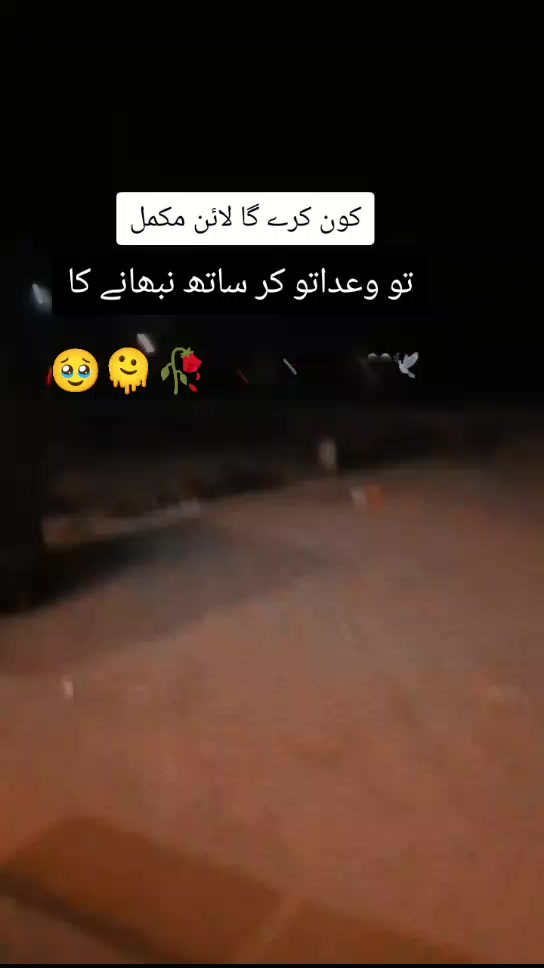 @AliHaider786🦁😎💫