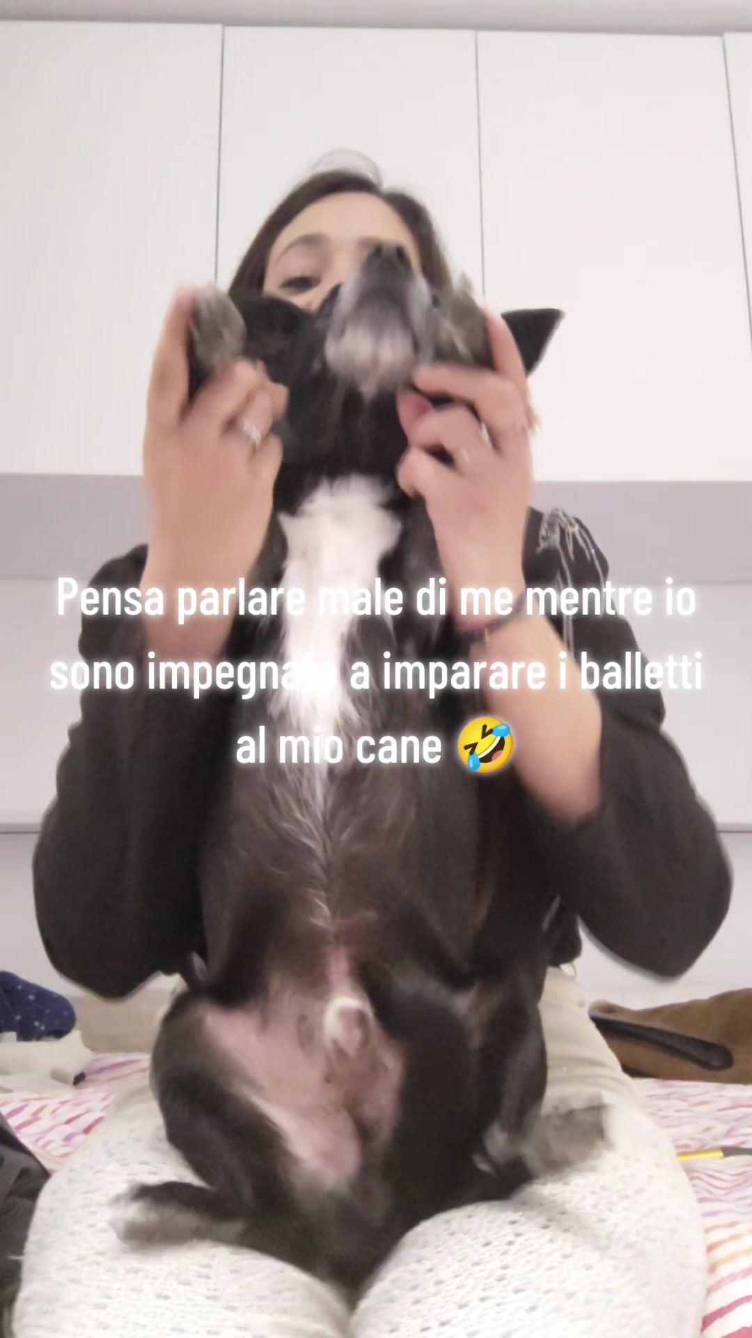 @👑 Arii__Mazzilli 👑❤️🔥