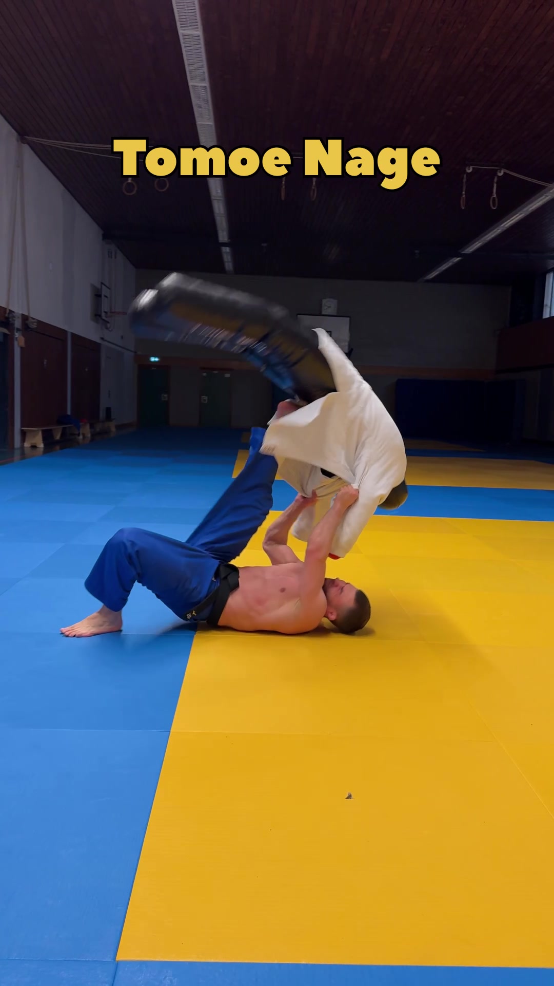 @Cyber-Judoka