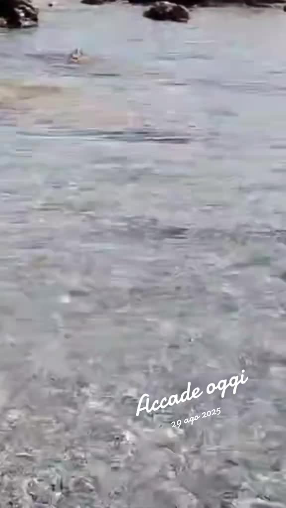 @Valeria Lentini
