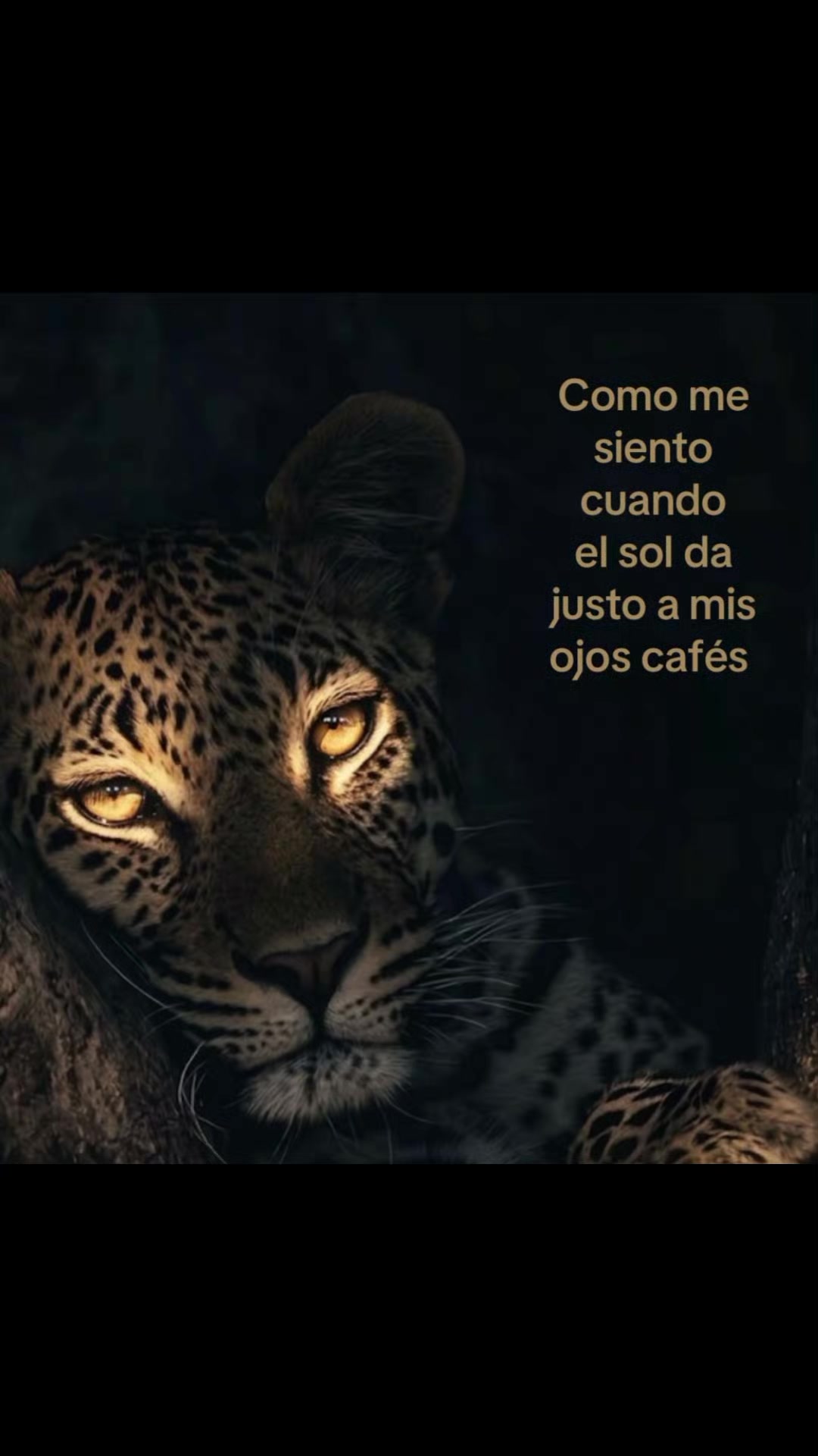 @@Jos