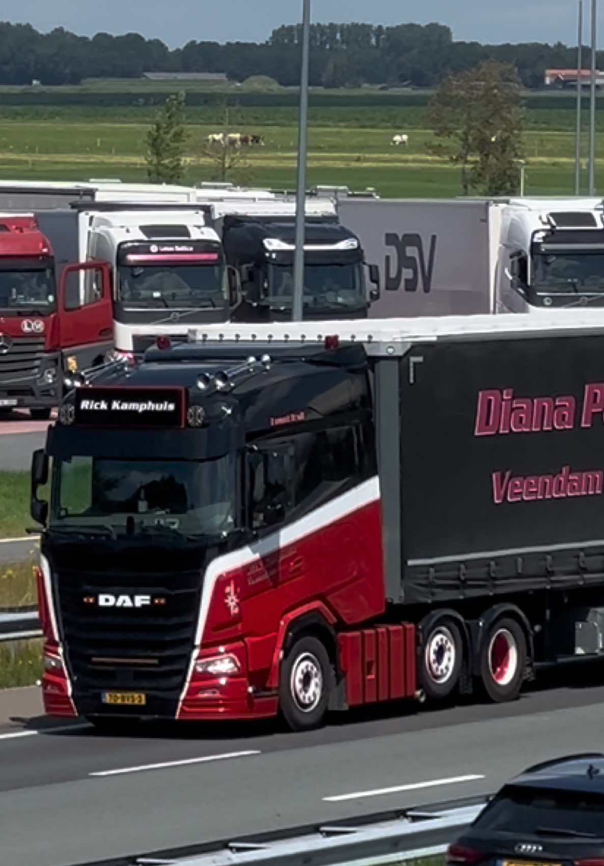 @Rh_Truckfotografie0529