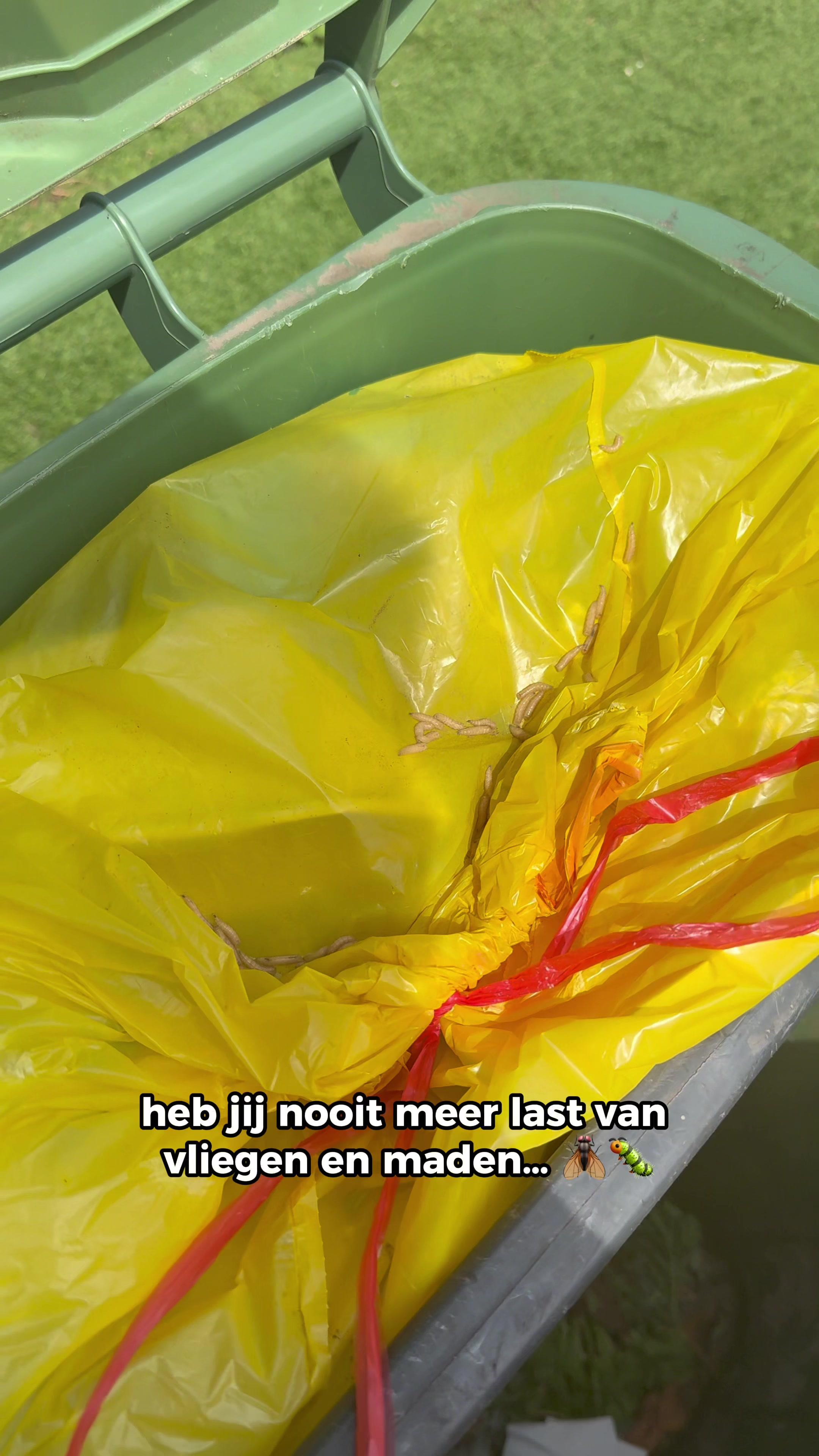 @Handige Tomas