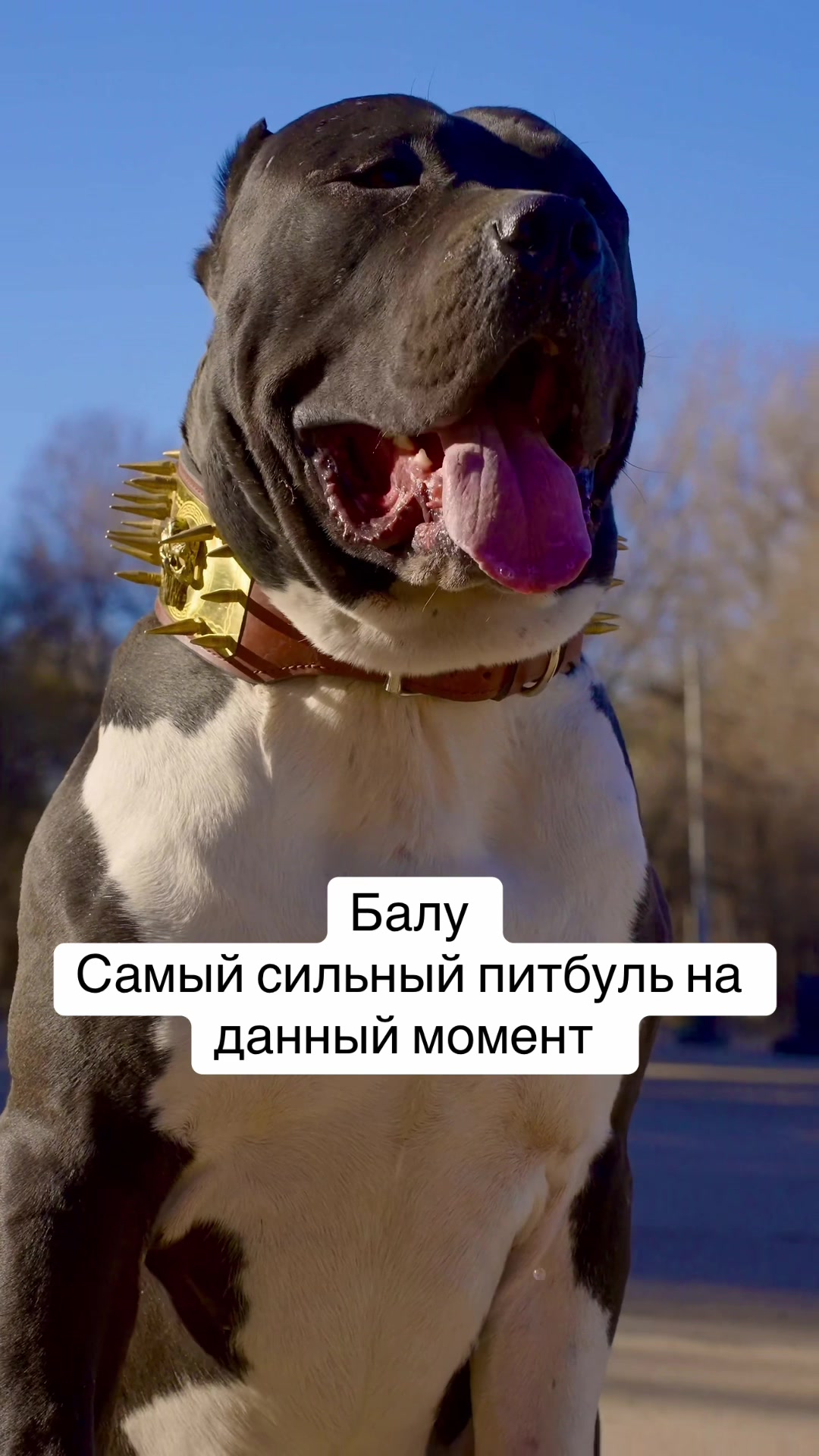 @БАЛУ