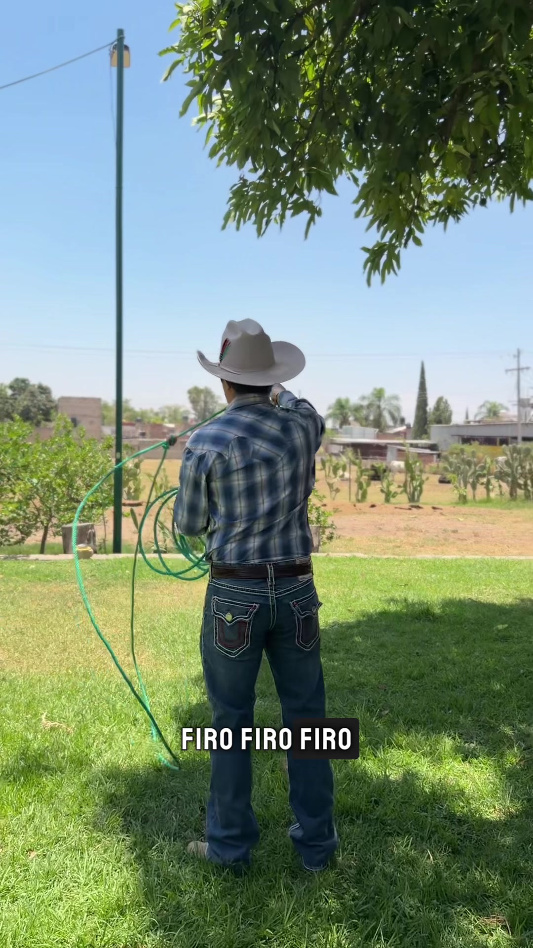 @Carlos Firo