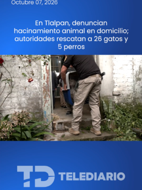 @TelediarioMx