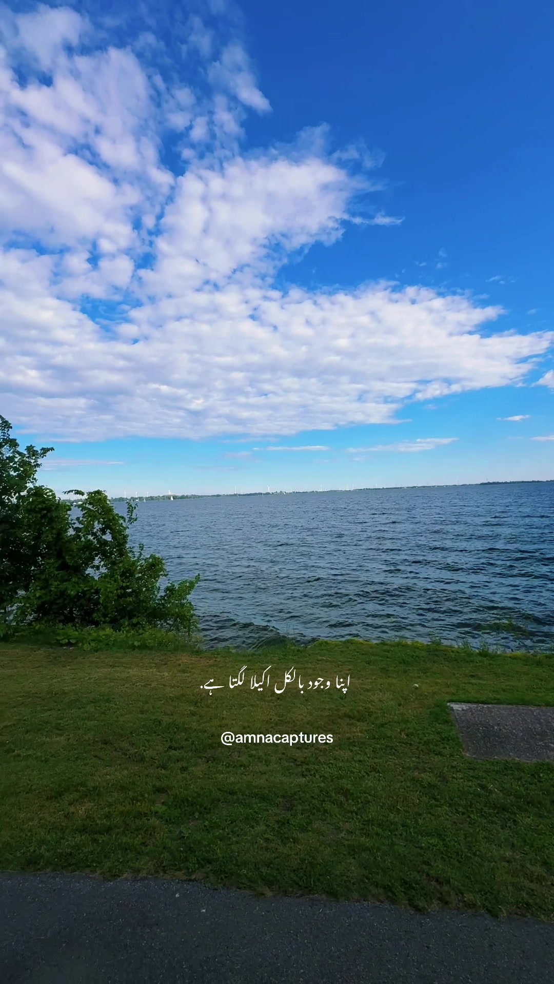 @Nature lover  🇨🇦