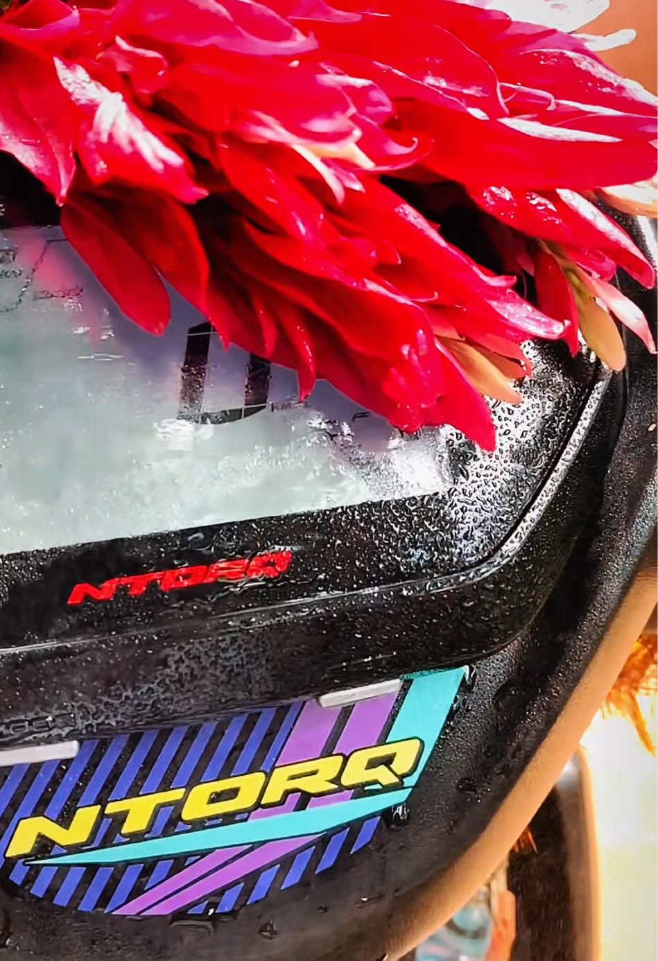 @ᥫ᭡🌼𖤬𝕞𝕞ᑌ 𝐁ᴀʙᴀ 🤍🐣༗