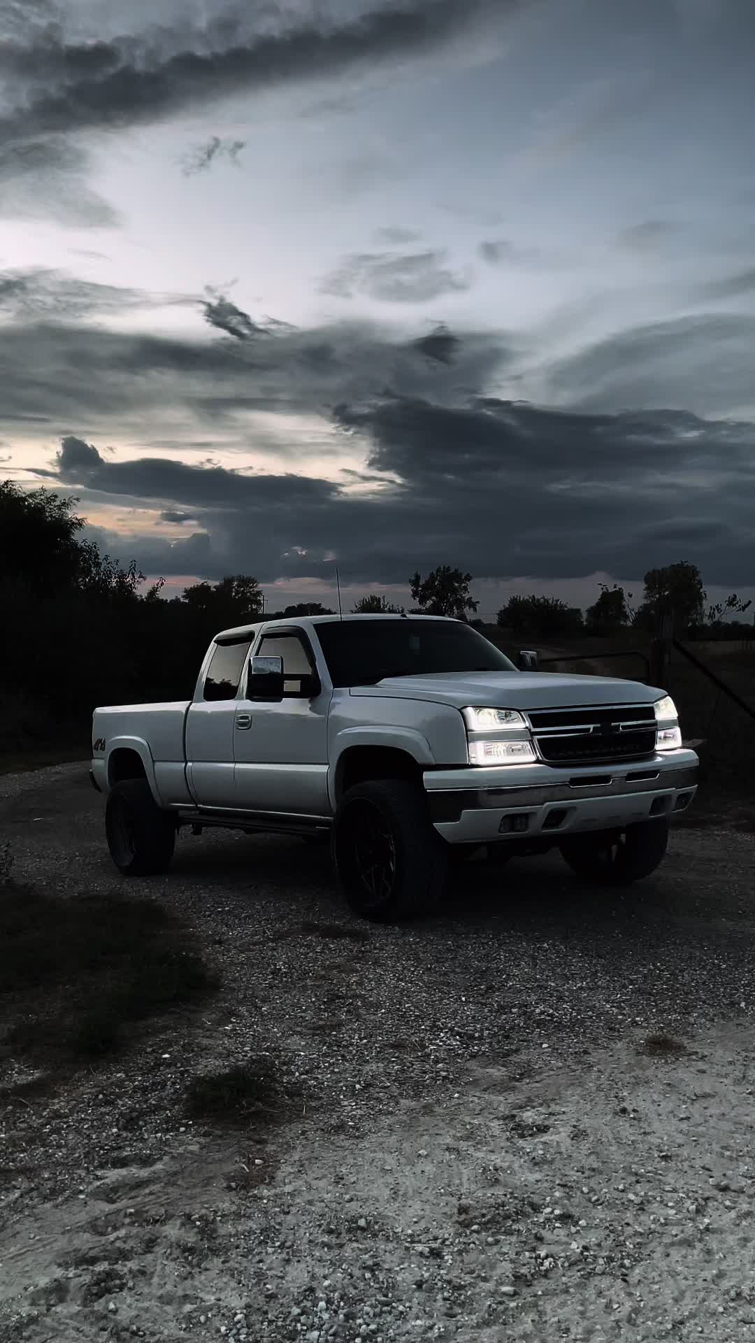 @06_whitecateye