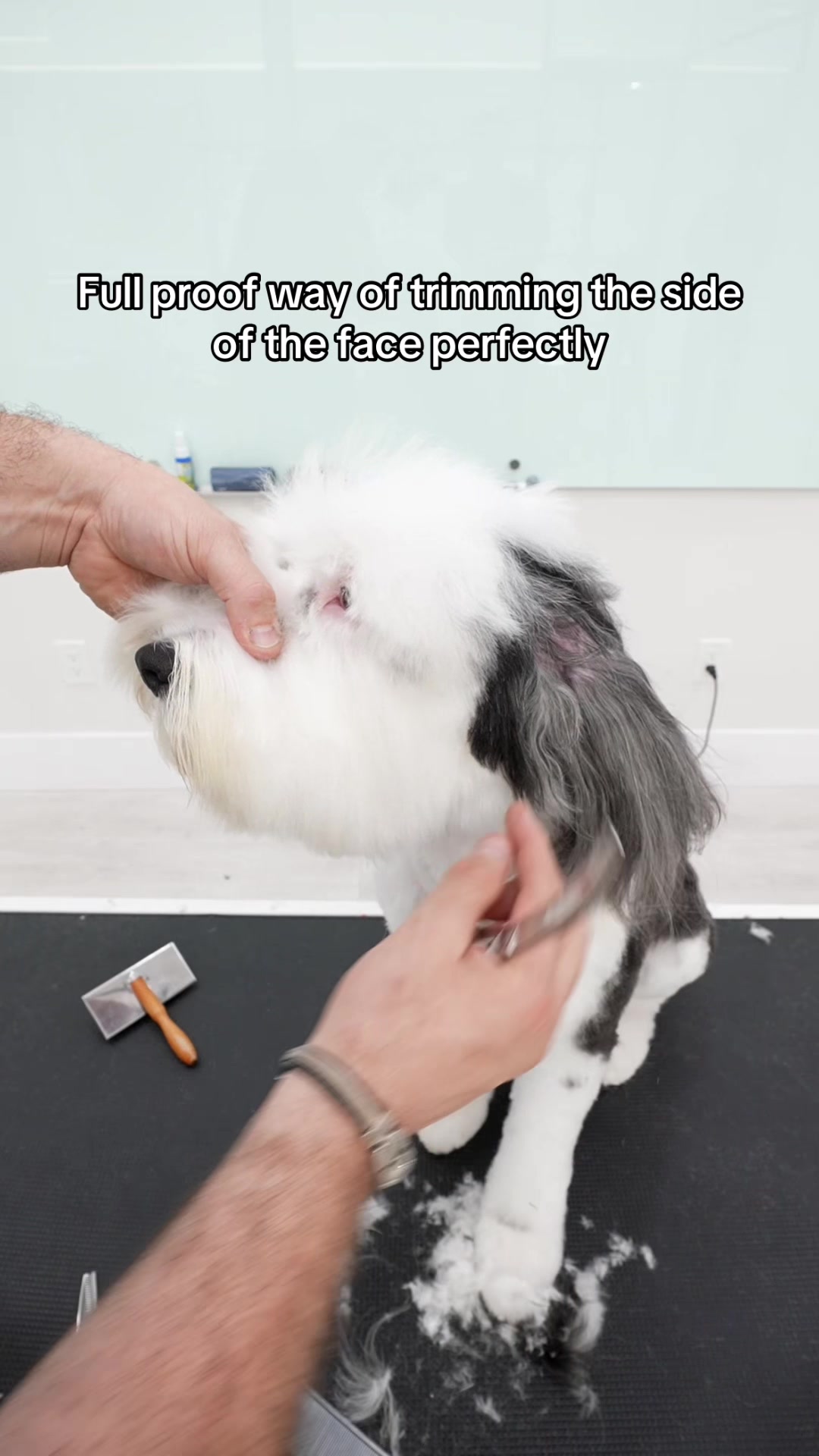 @NorCal Grooming Academy