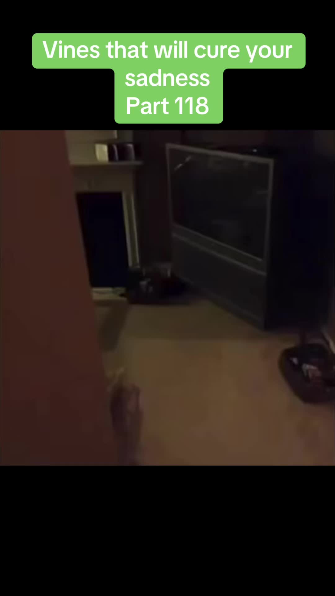 @vinesonlytiktok