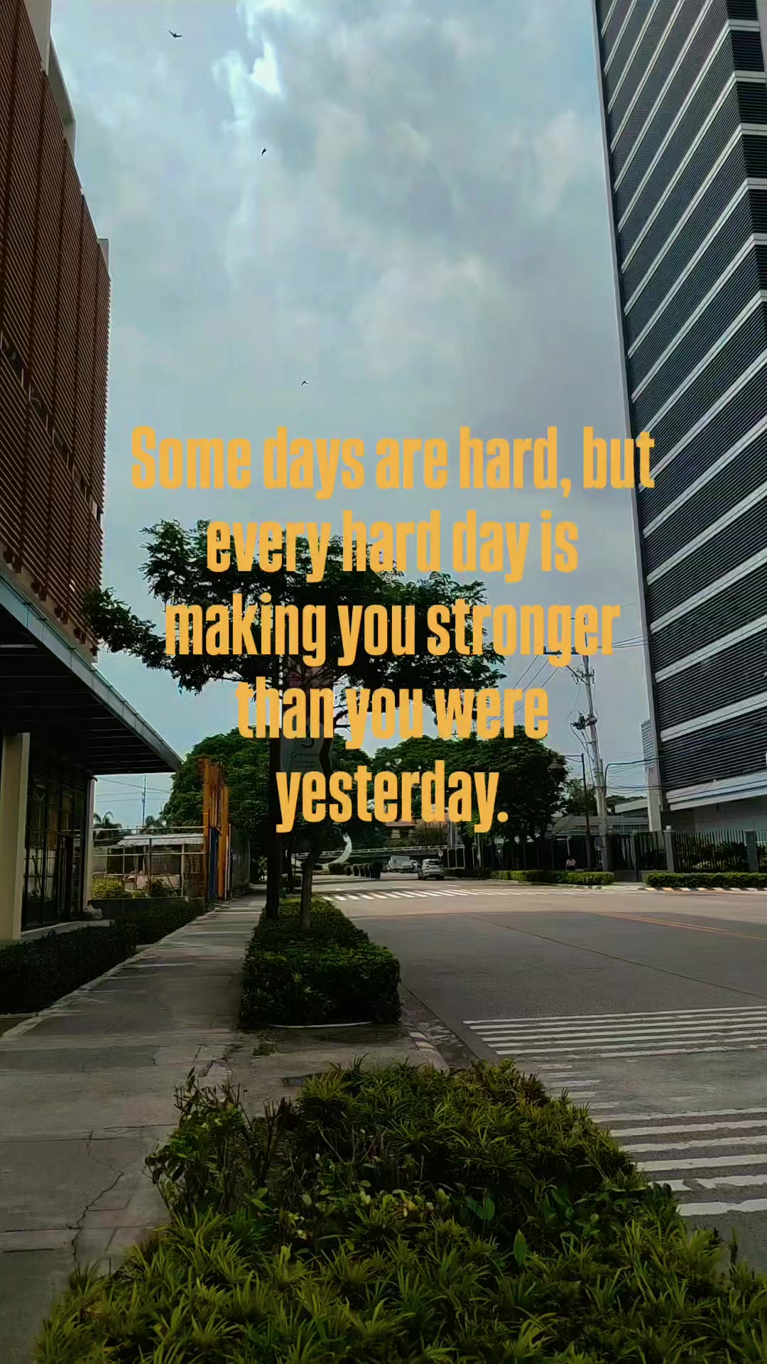 @miss.m