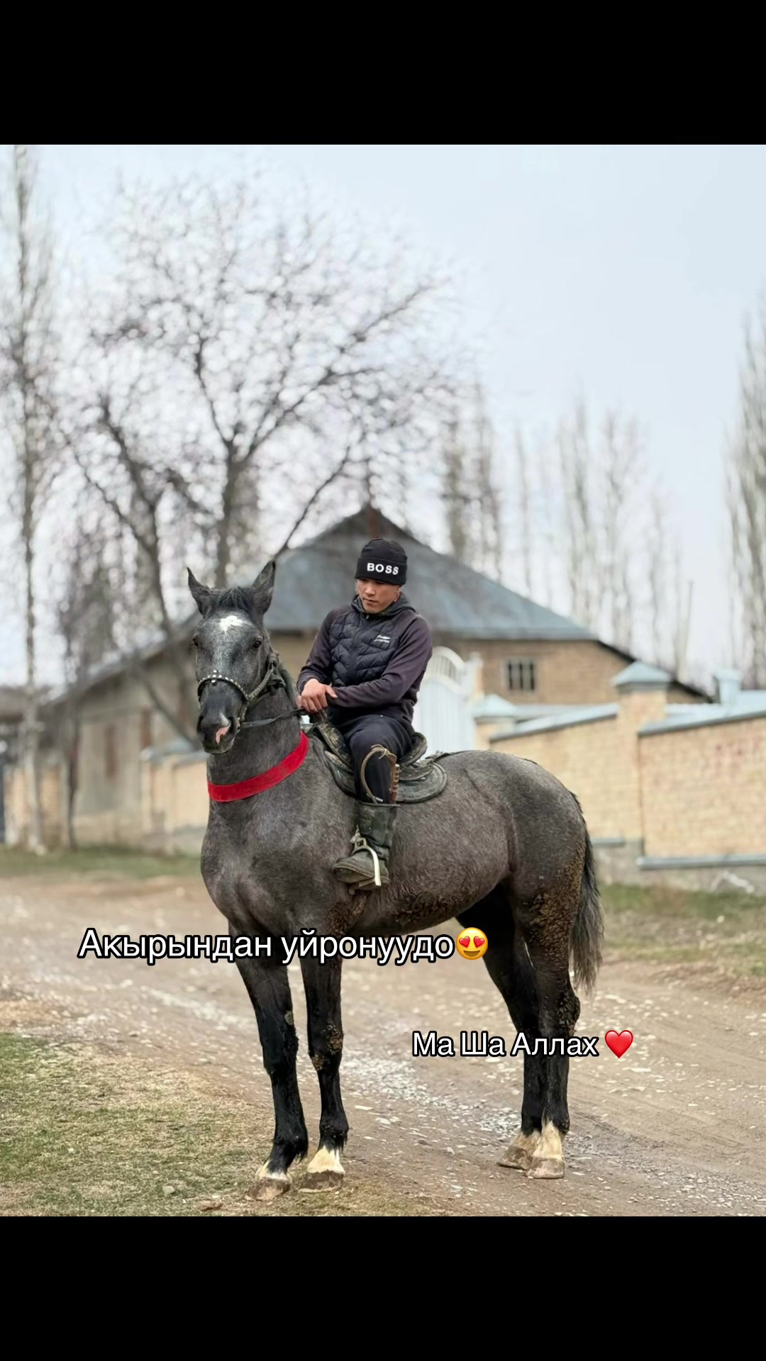 @aksy.jylkylary
