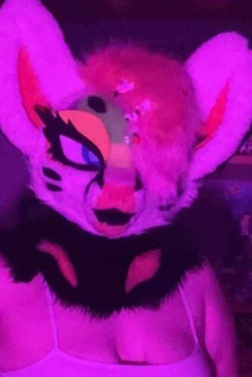 @Liger~Liger🐾🍉