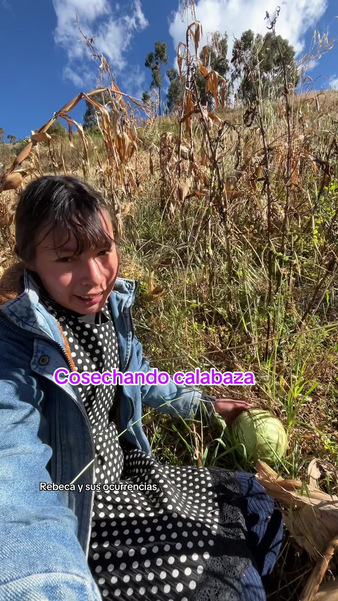 @🐈Rebeca y sus ocurrencias