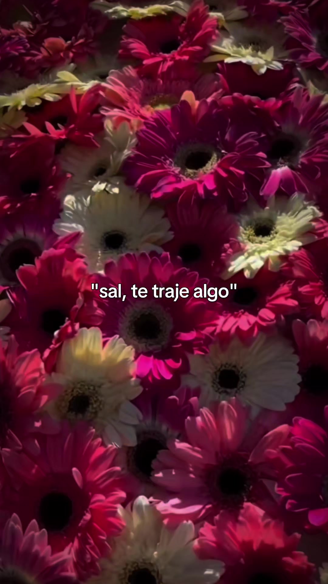 @Chef Alvaro