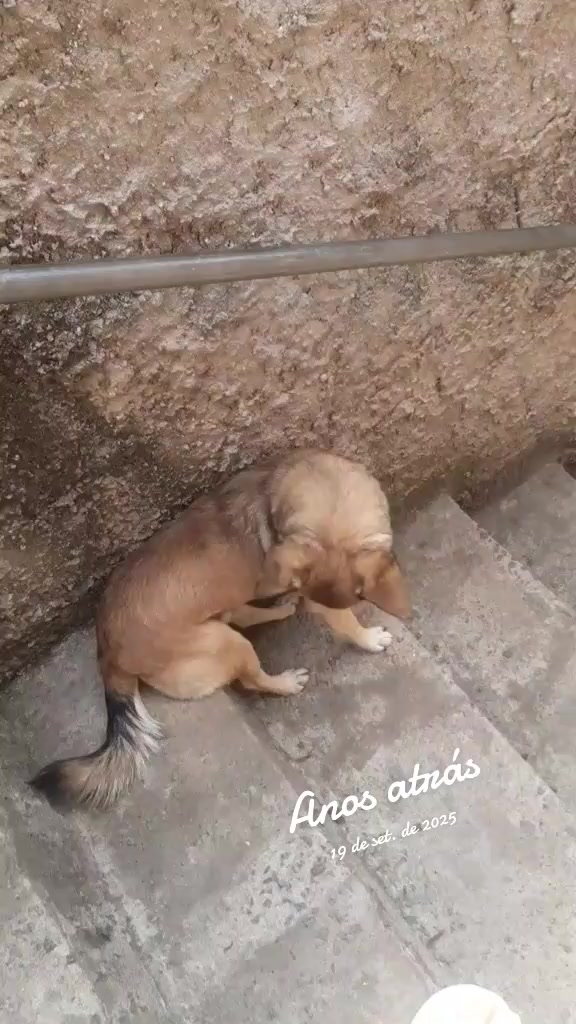 @José Wilson Rodrigues Barbosa