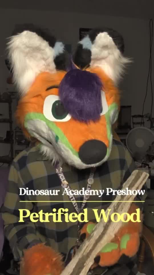 @Marsh The Fox
